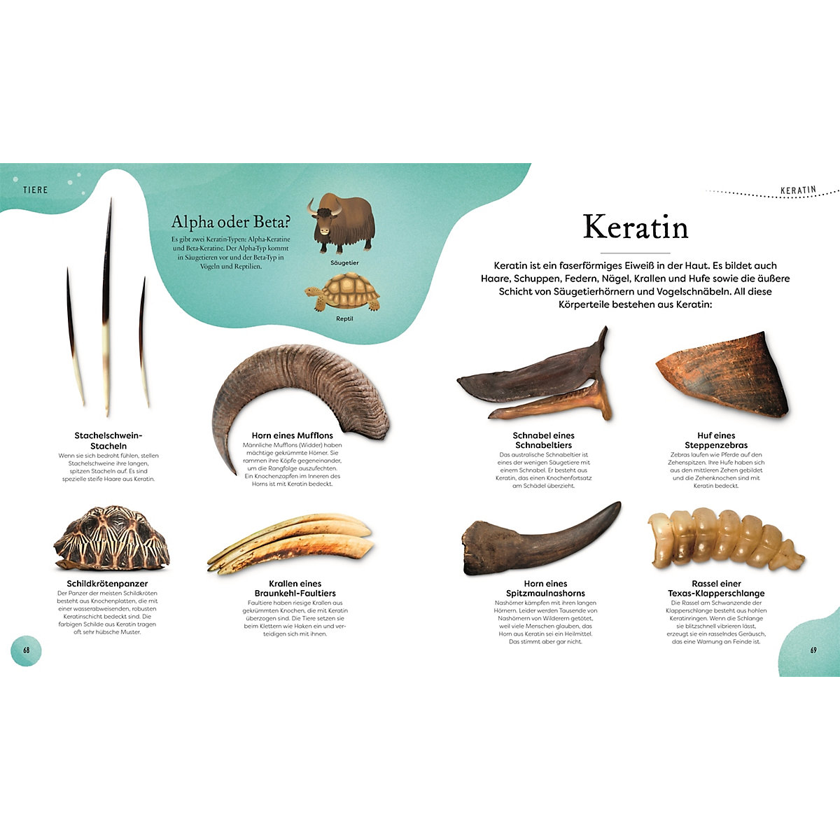 Große und kleine Schätze der Natur