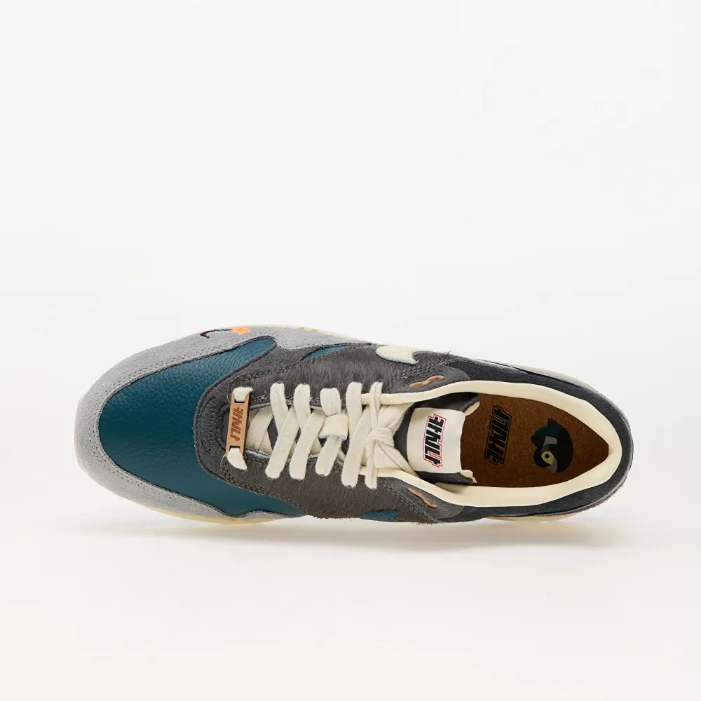 Nike Kasina x Air Max 1 SP Grey DQ8475-001 / grau