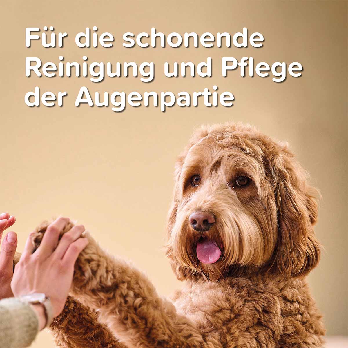 beaphar Sensitiv Augenpflege 50ml günstig kaufen