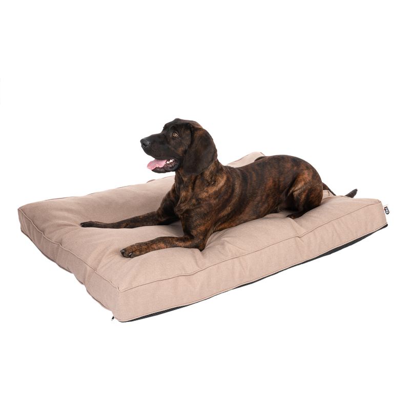 TIAKI Hundematratze Memory Foam, beige zu TOP-Preisen | bitiba %