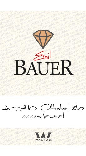 2019 VE1 trocken - Weingut Emil Bauer