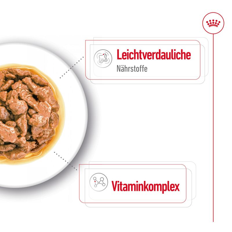 Royal Canin Mini Adult  in Soße