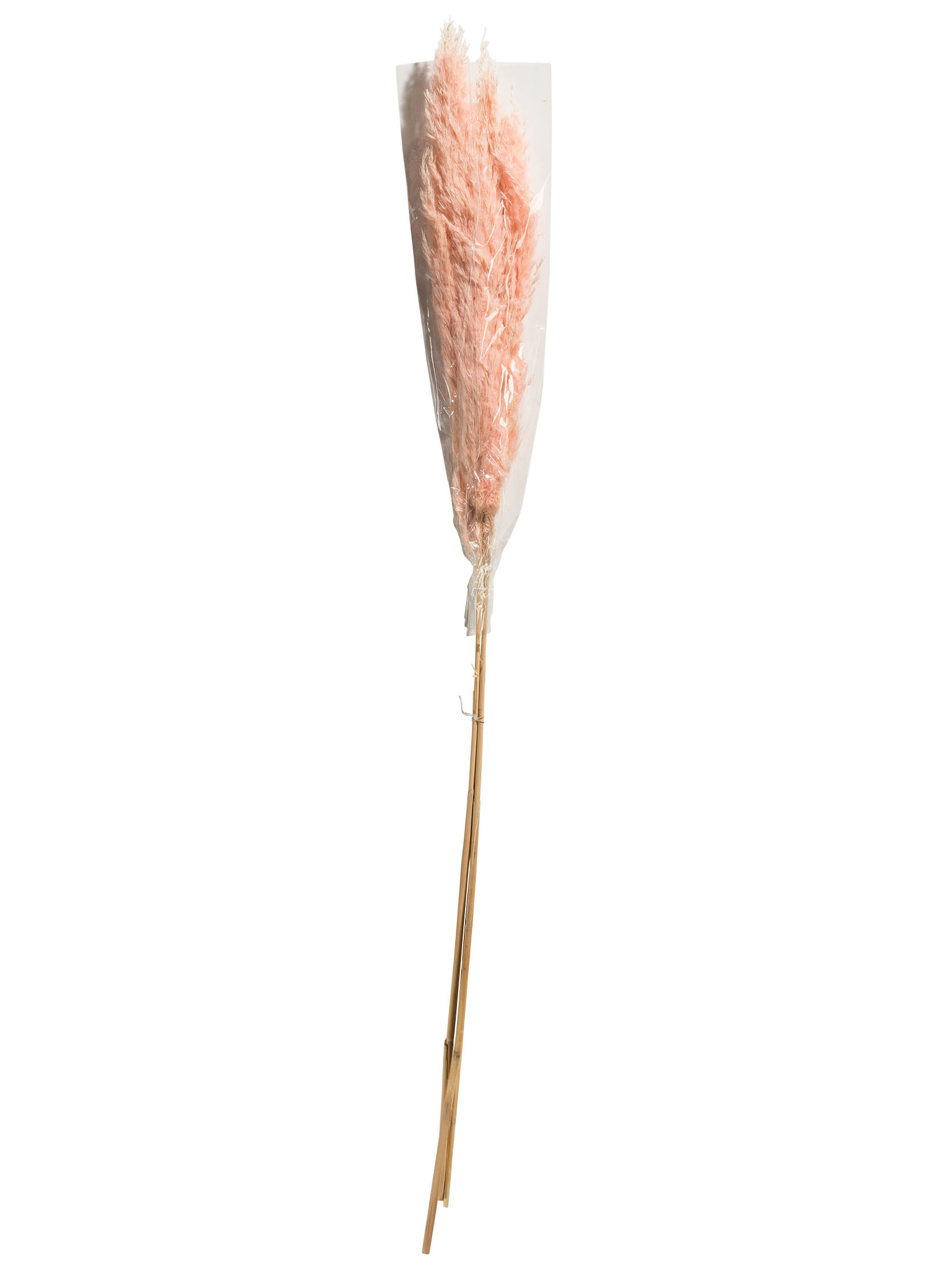 Pampasgrasbündel 3er Trockenblume, Pink