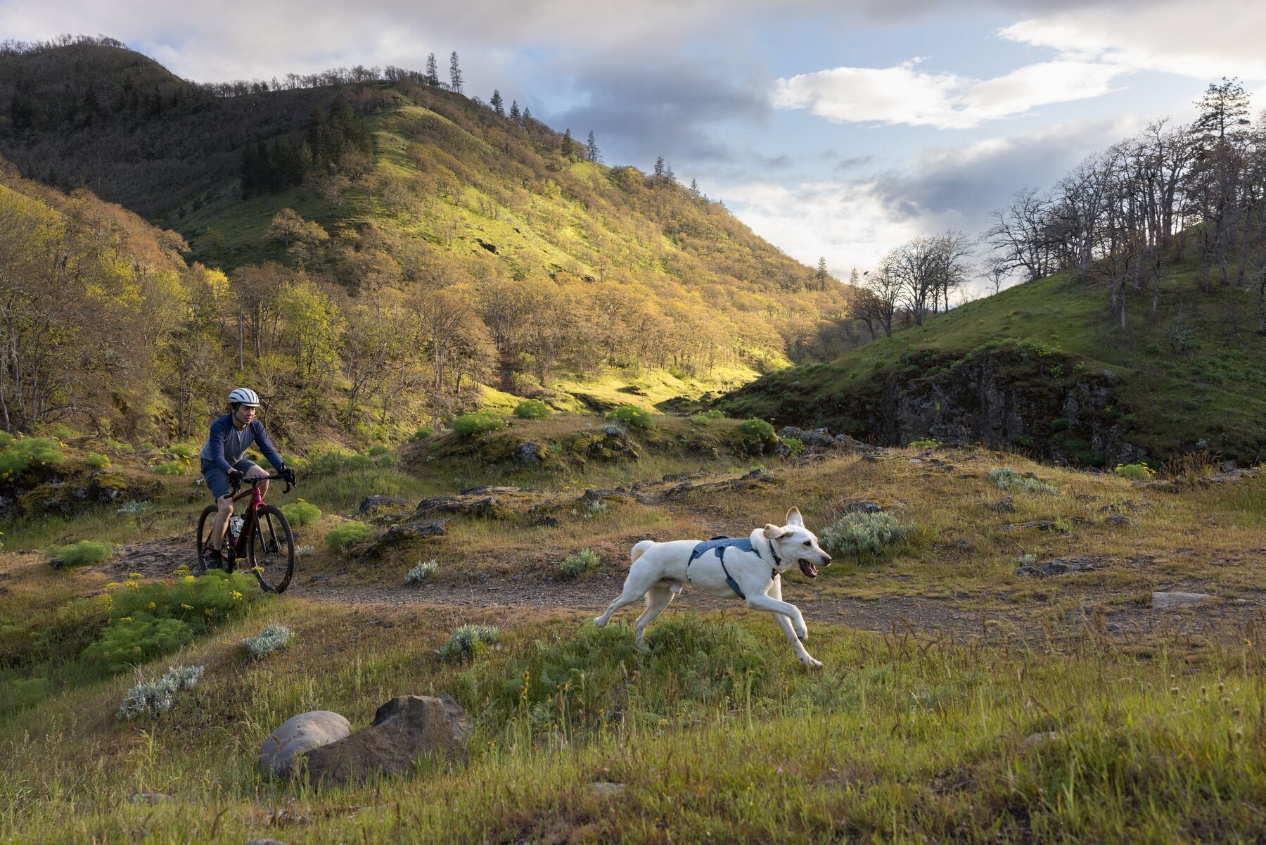 Ruffwear Hundegeschirre Ruffwear Web Master™ Geschirr schieferblau XXS
