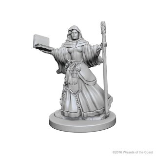 Human Female Wizard: D&D Nolzurs Marvelous Unpainted Minis