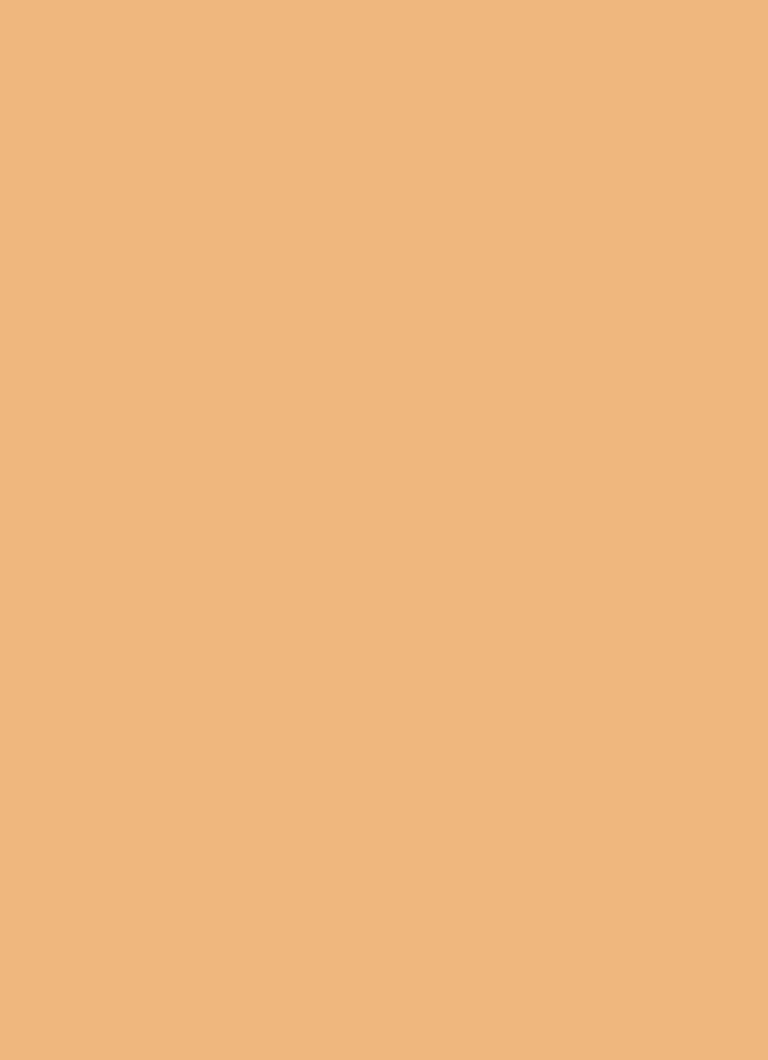 Estée Lauder Double Wear Stay-in-Place Matte Powder Foundation SPF 10 Refill - foundation refill