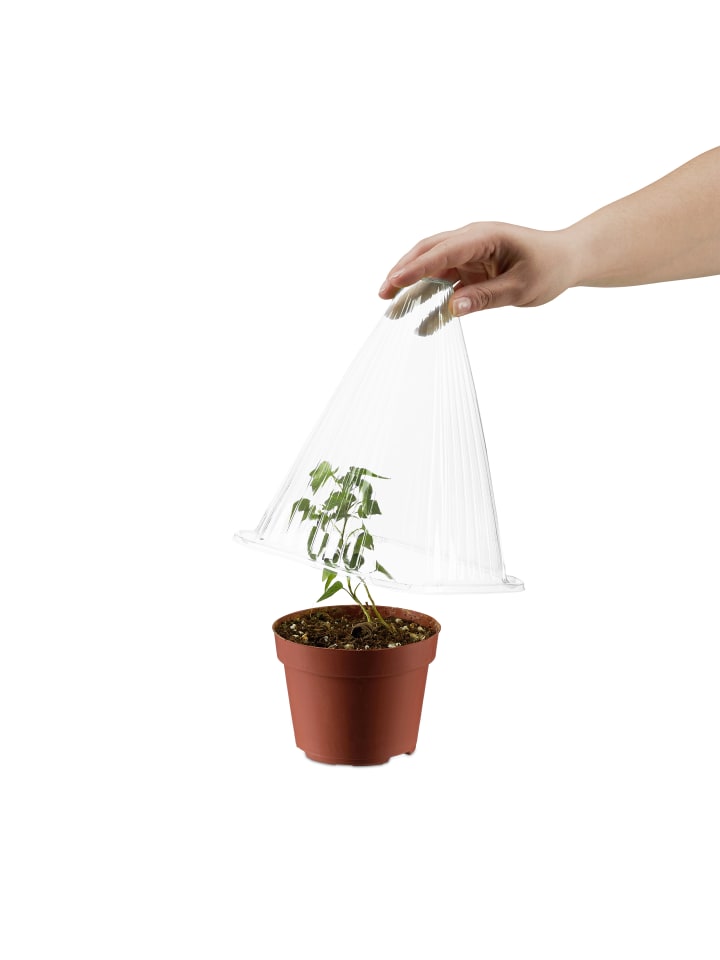 relaxdays 24 x Pflanzenhut - (B)19 x (H)22 x (T)19 cm günstig kaufen onesize