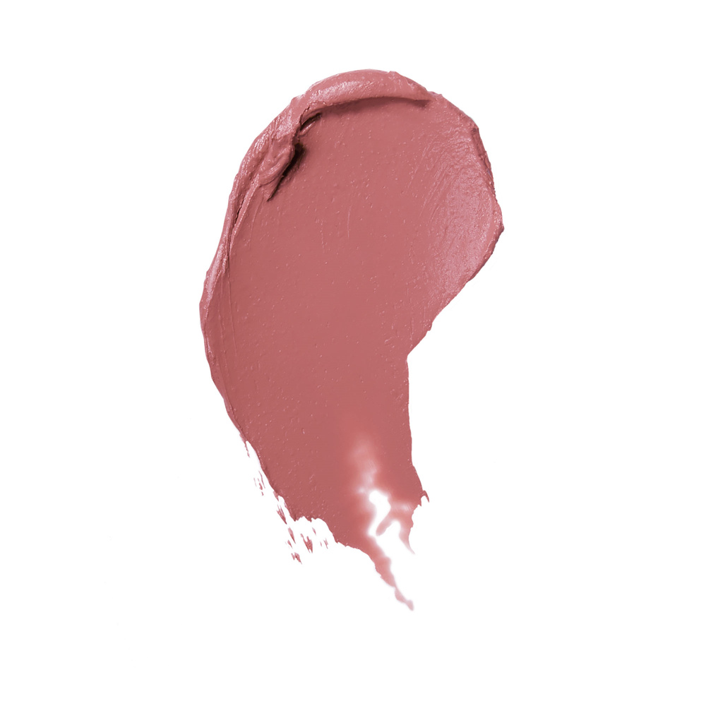 Estée Lauder Pure Color Envy Rouge à Lèvres Mat