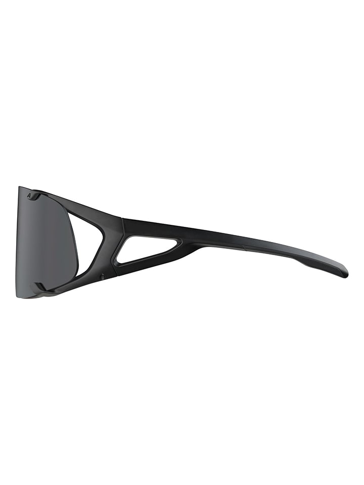 Alpina Sportbrille 