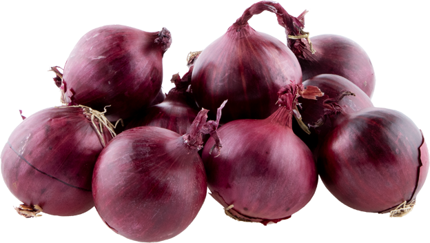 Zwiebeln rot