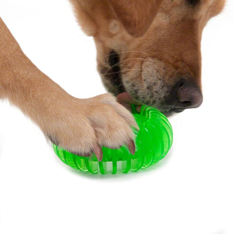 Hundespielzeug TPR Ring zu TOP-Preisen % bei bitiba.de