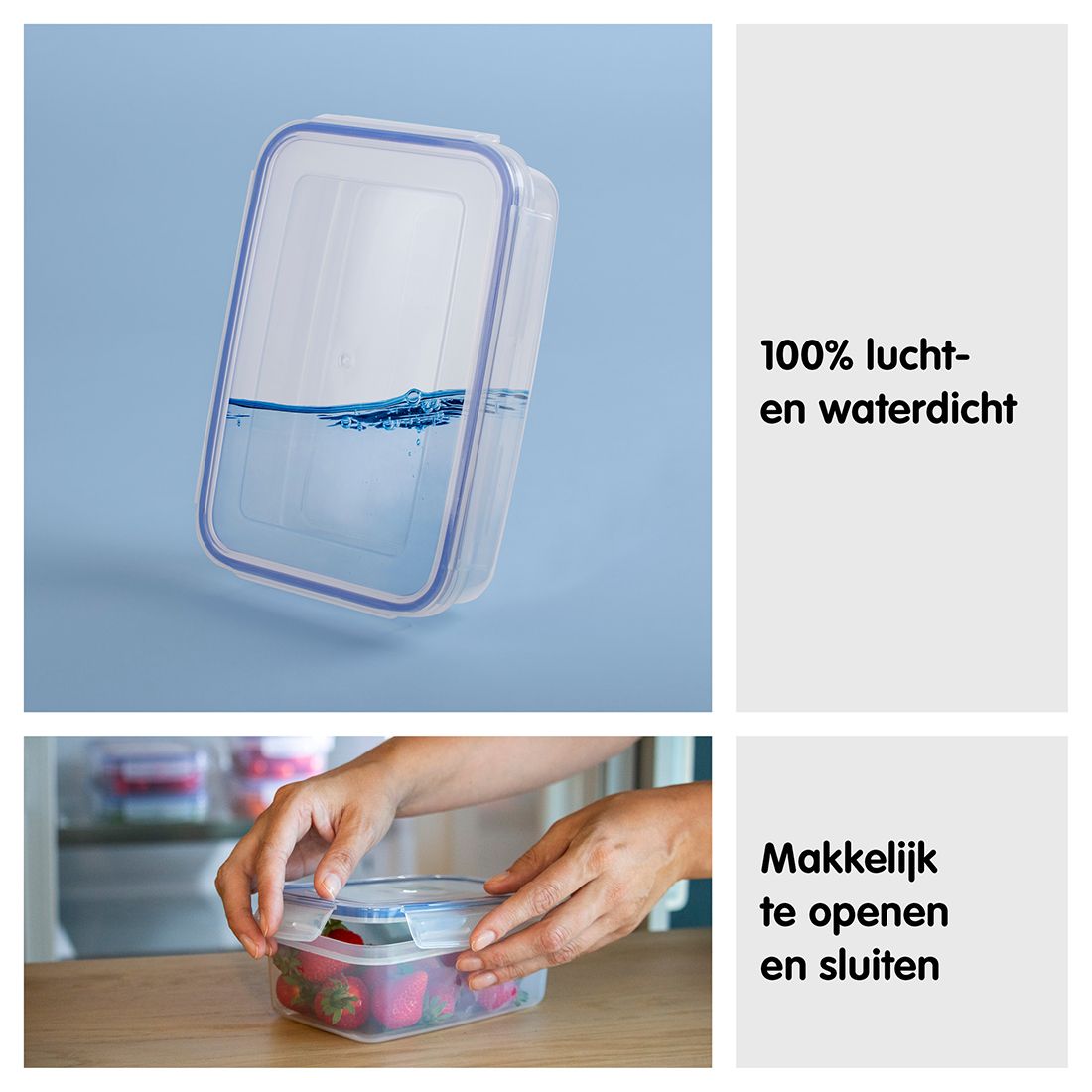 Sunware Basic 0,45 Liter 4er-Set Frischhalteboxen