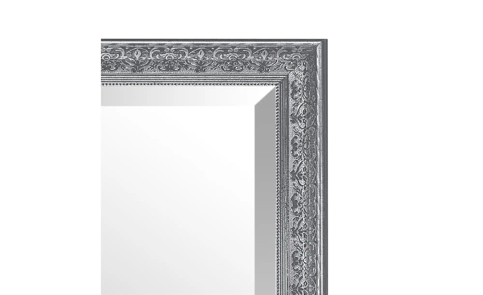Spiegel 55 x 115 cm