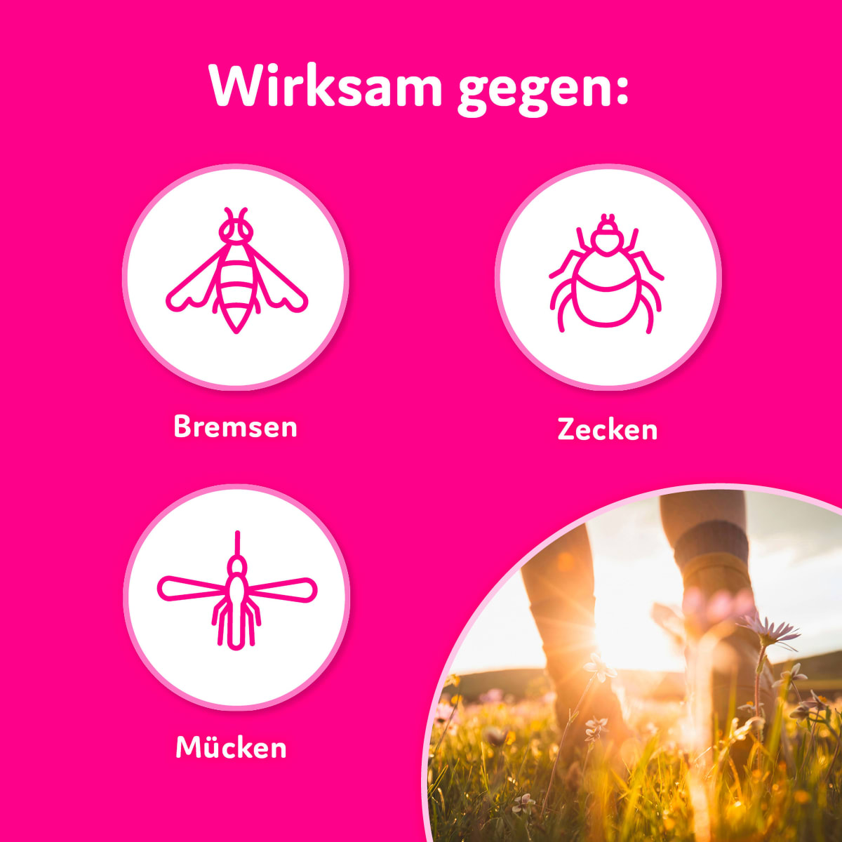 Insektenschutzspray Family, 75 ml