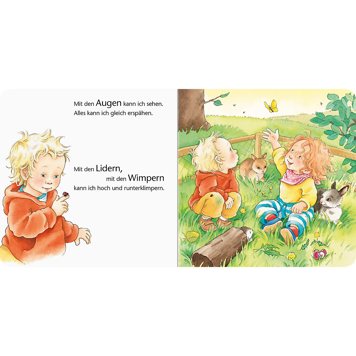 ministeps® Augen, Bauch und Hände