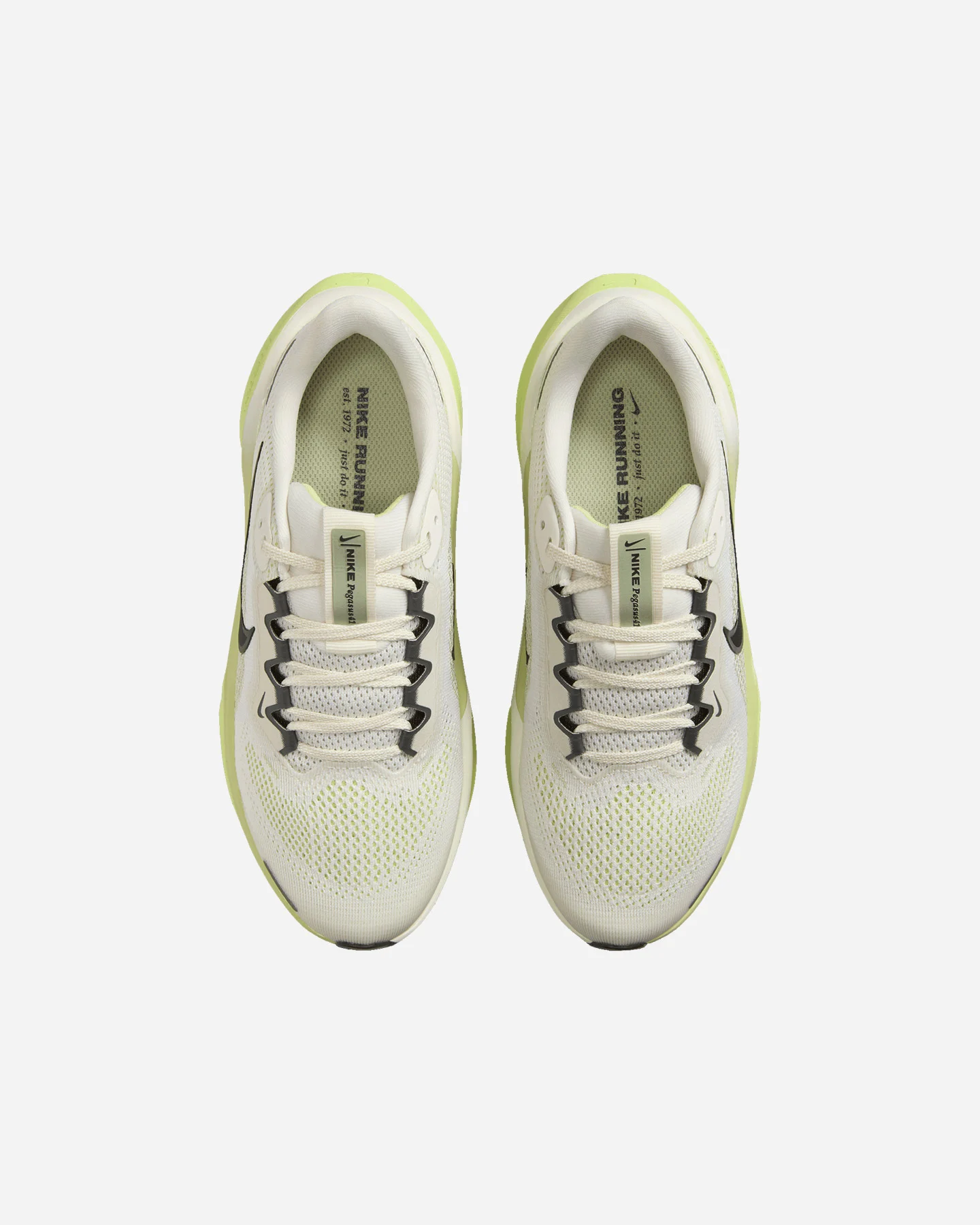 Löparskor Nike Pegasus 41 Jr FN5041-106