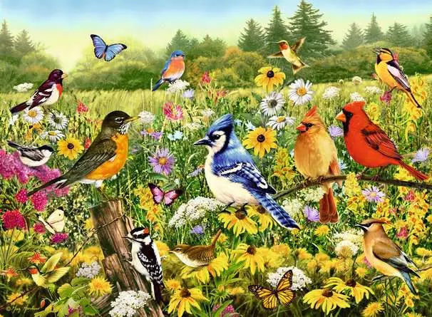 Puzzle 500 Teile - Vogelwiese