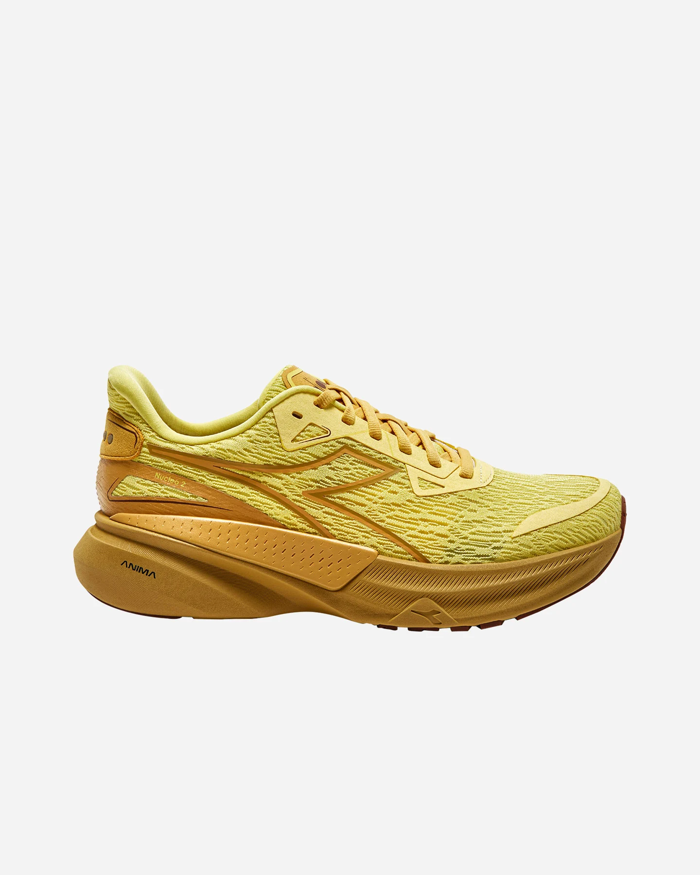 Buty do biegania Diadora Equipe Nucleo 2 M 101.181846-D1204
