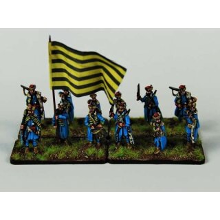 Transylvanian household infantry