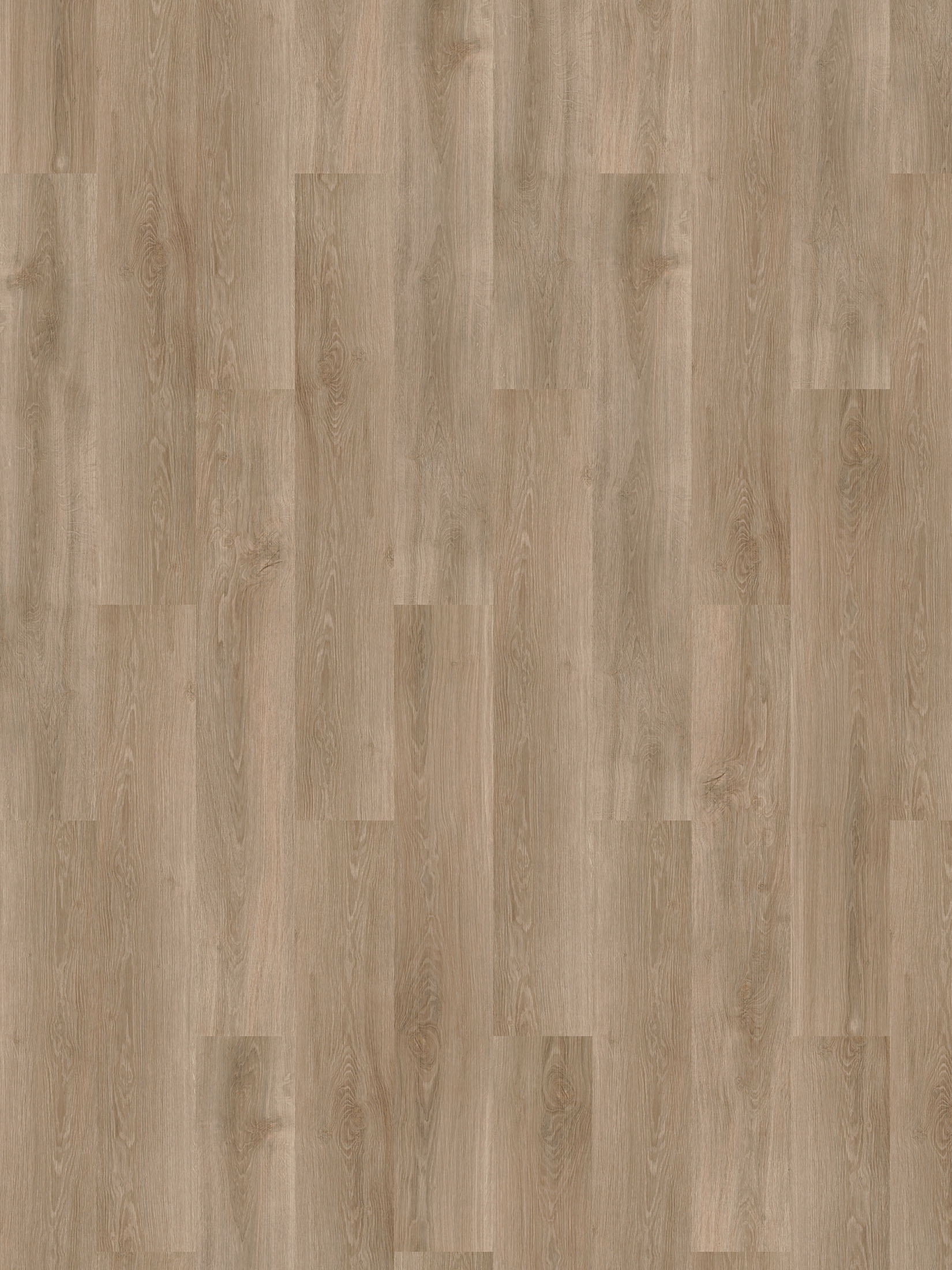 Levanger XL Vinylboden, Forest Oak Coll23425