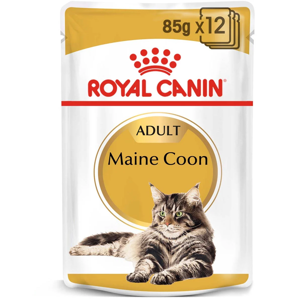 ROYAL CANIN Maine Coon Adult Katzenfutter nass