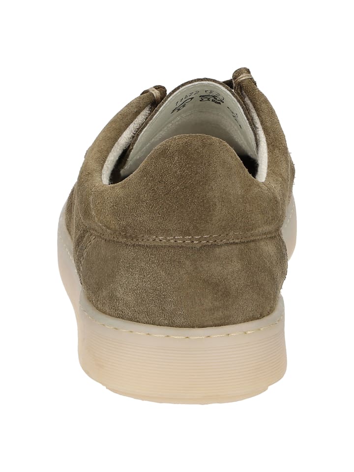 Sioux Schnürschuh Tedrino-701 in schlamm günstig kaufen