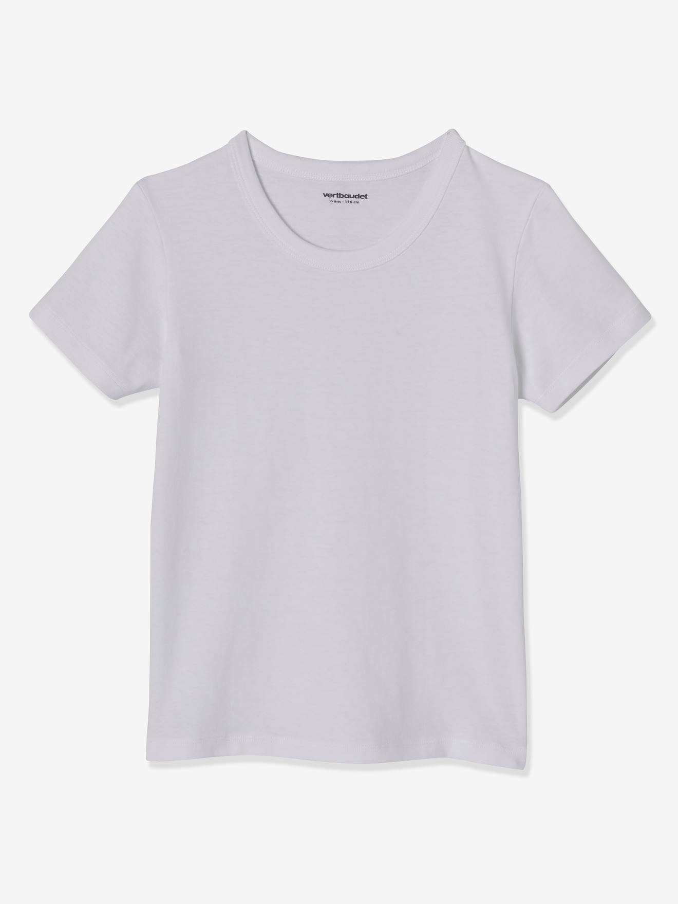 Lot de 3 T-shirts garçon manches courtes BASICS lot camaieu bleu