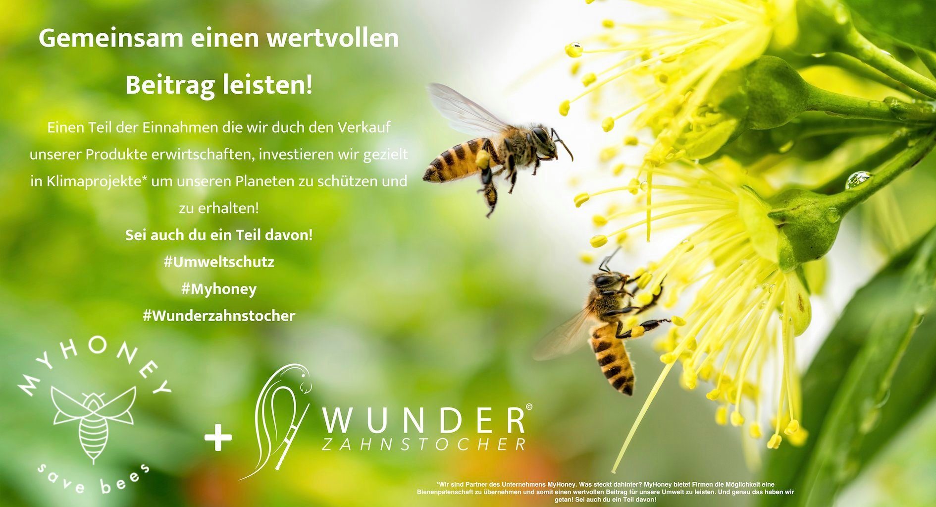 Wunder Zahnstocher Mundpflegecenter Wunder Zahnstocher mit Geschmack - 3er Bundle Apfel