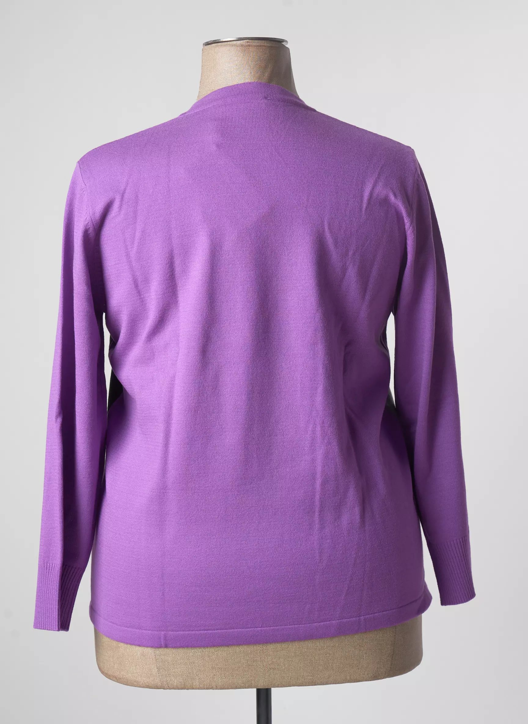 Rabe Pulls Femme couleur violet