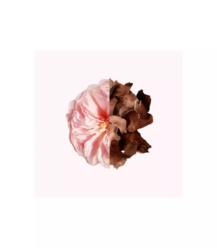 IRRESISTIBLE GIVENCHY Parfum pour les Cheveux