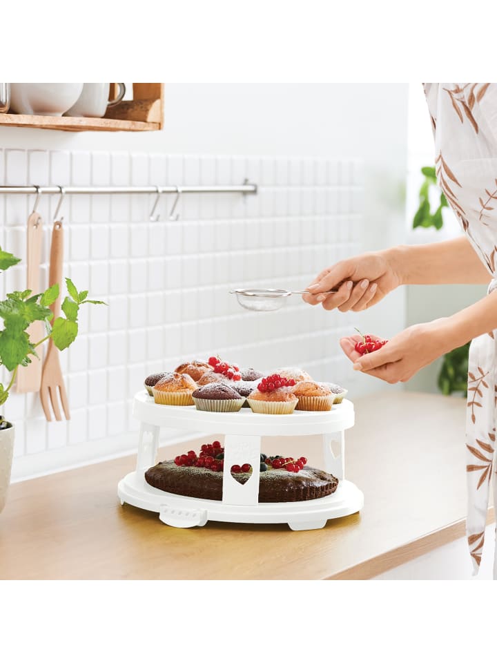 Rotho FRESH Tortenglocke hoch mit Trays in Transparent / Weiß günstig kaufen onesize