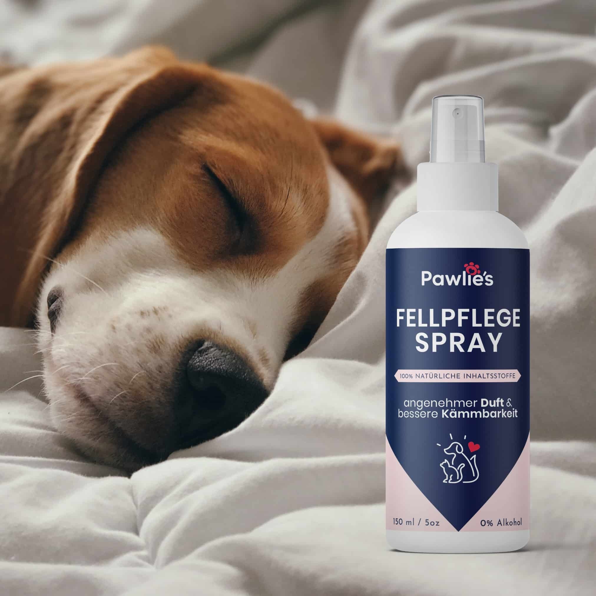 Pawlie's Fellpflege Pawlie's Fellpflege für Hunde & Katzen