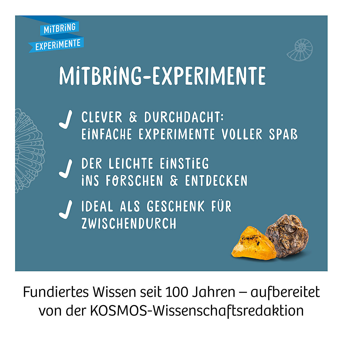 Ausgrabungs-Set Fossilien