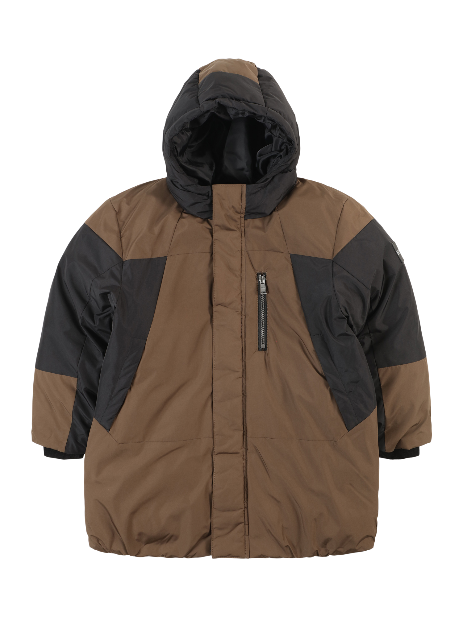 Winter Jacket