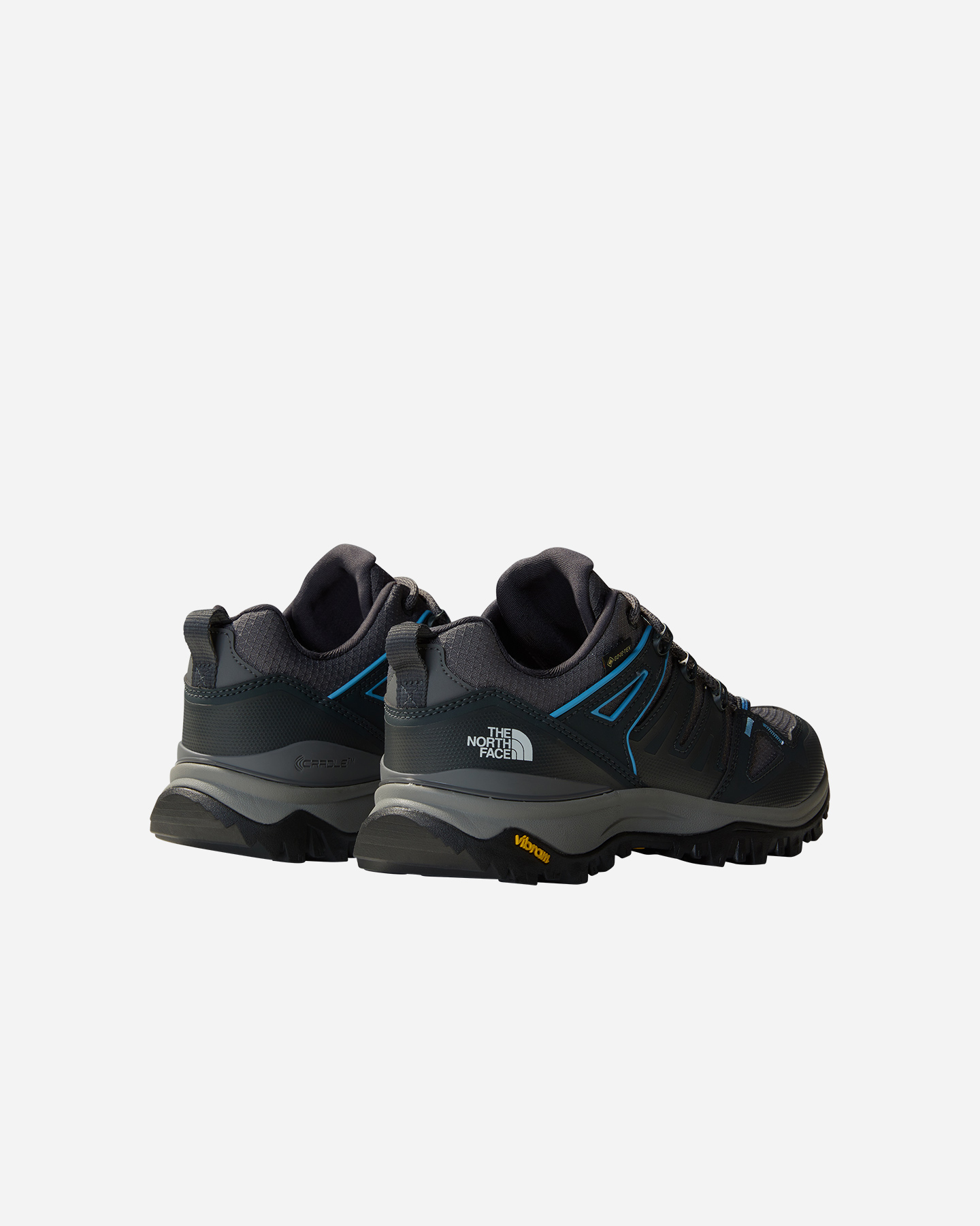 Scarpe Trail The North Face Hedgehog Gtx W NF0A8AABSOU1