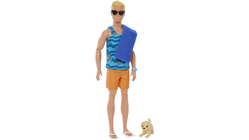 Barbie Ken Surfer-Puppe & Accy