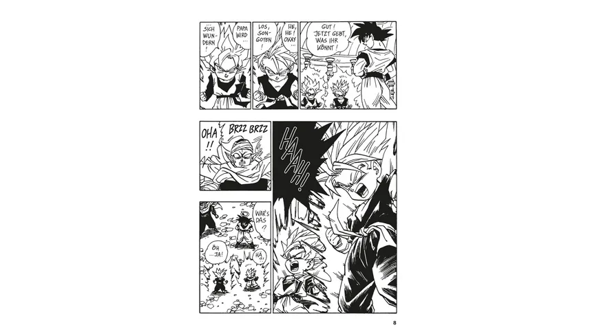 Dragon Ball Massiv 14