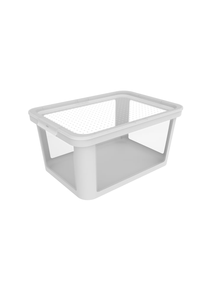 Rotho Albris Aufbewahrungsbox 45l mit Deckel, Kunststoff (PP recycelt) in Weiß günstig kaufen onesize