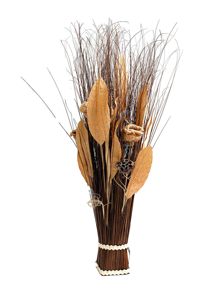 SiL Interiors Trockenblumenstrauß in Braun - (H)100 cm günstig kaufen onesize