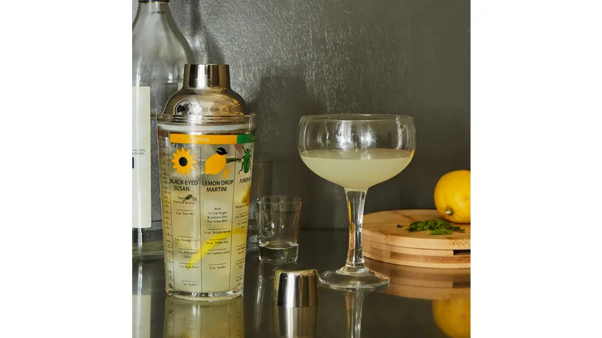 Kikkerland Four Seasons Cocktail Shaker