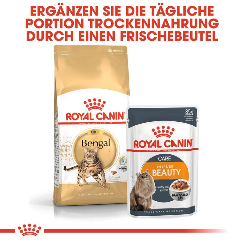 Royal Canin Bengal Adult zu TOP-Preisen