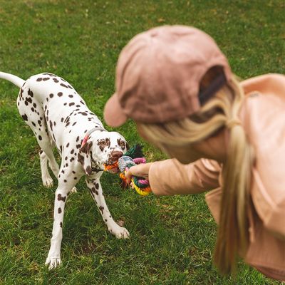 Nomad Tales Spirit Hundespielzeug Multirope
