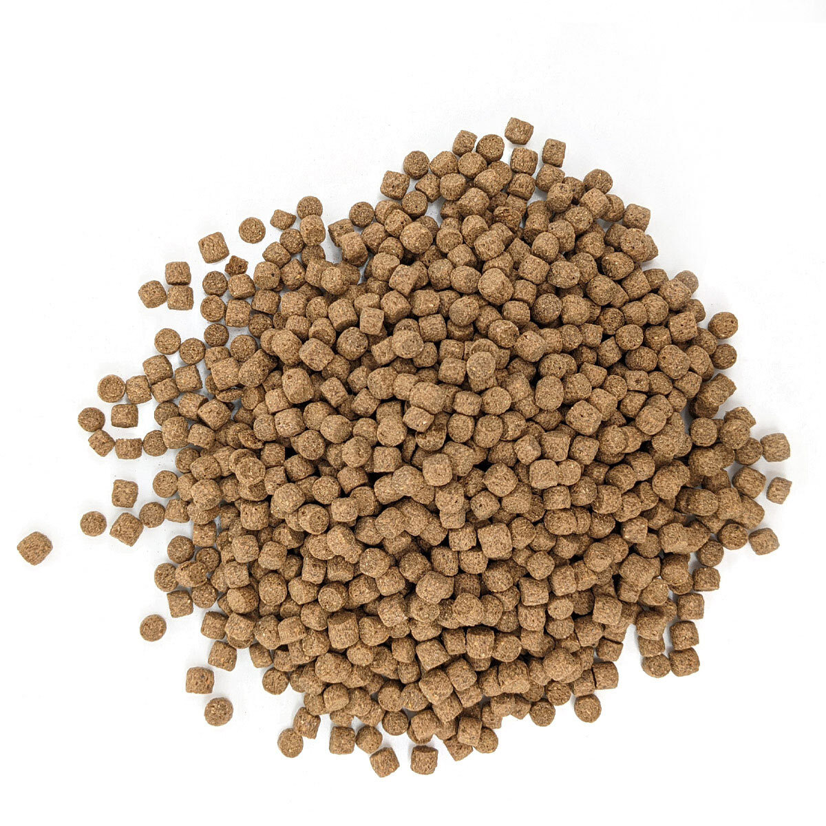 KENKOU Hauptfutter KENKOU Nr.1 Energy & Color 5mm 10 kg