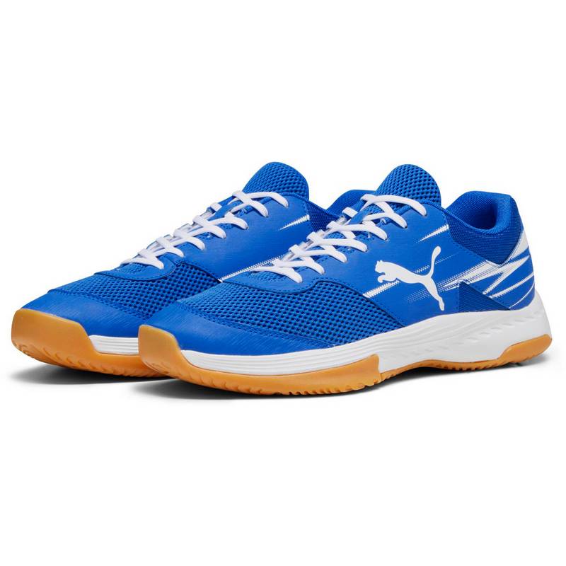 PUMA Varion II Hallenschuhe Herren