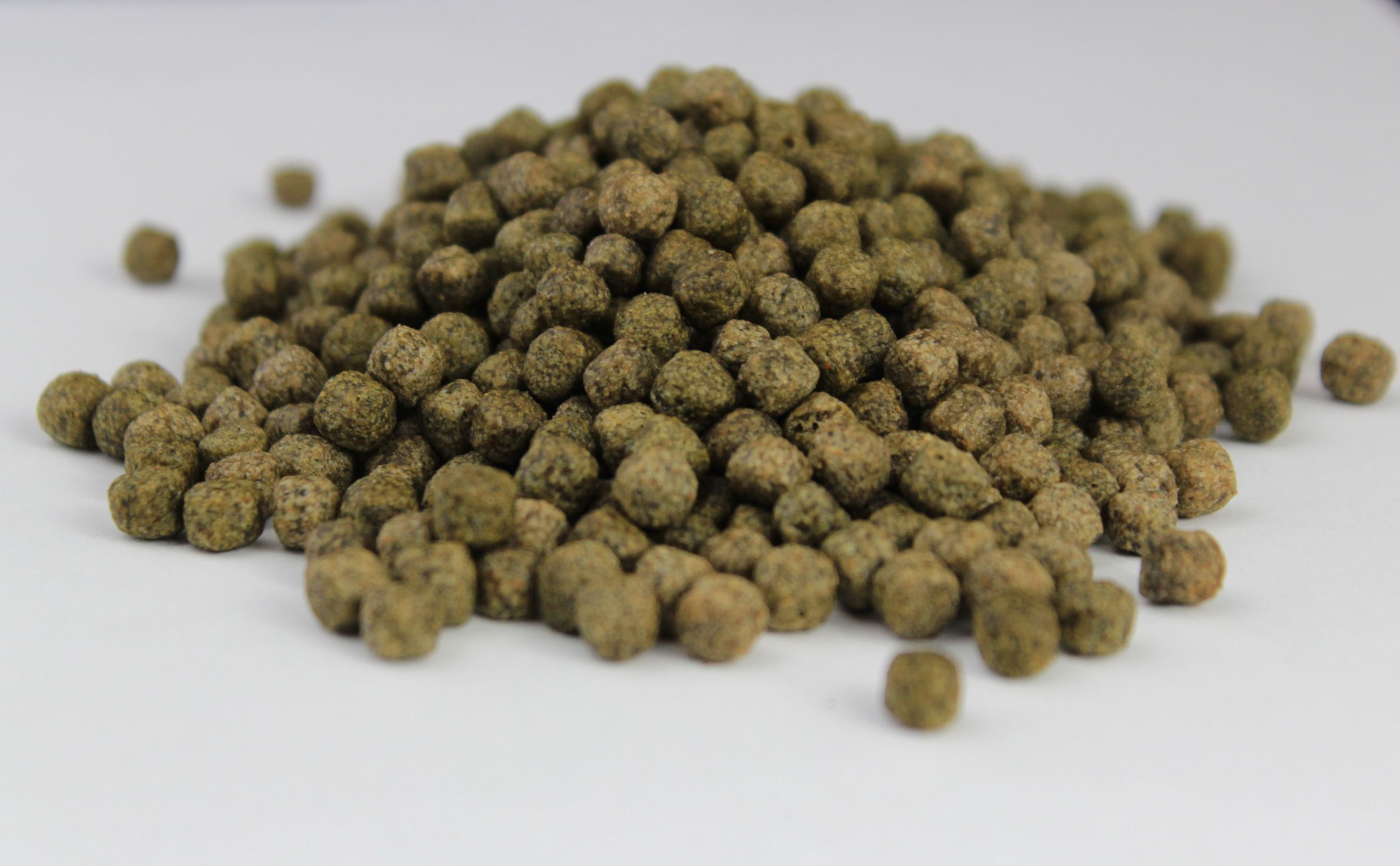 Silbermann Hauptfutter Silbermann Spirulina Pond Pellets 6 mm 10 kg