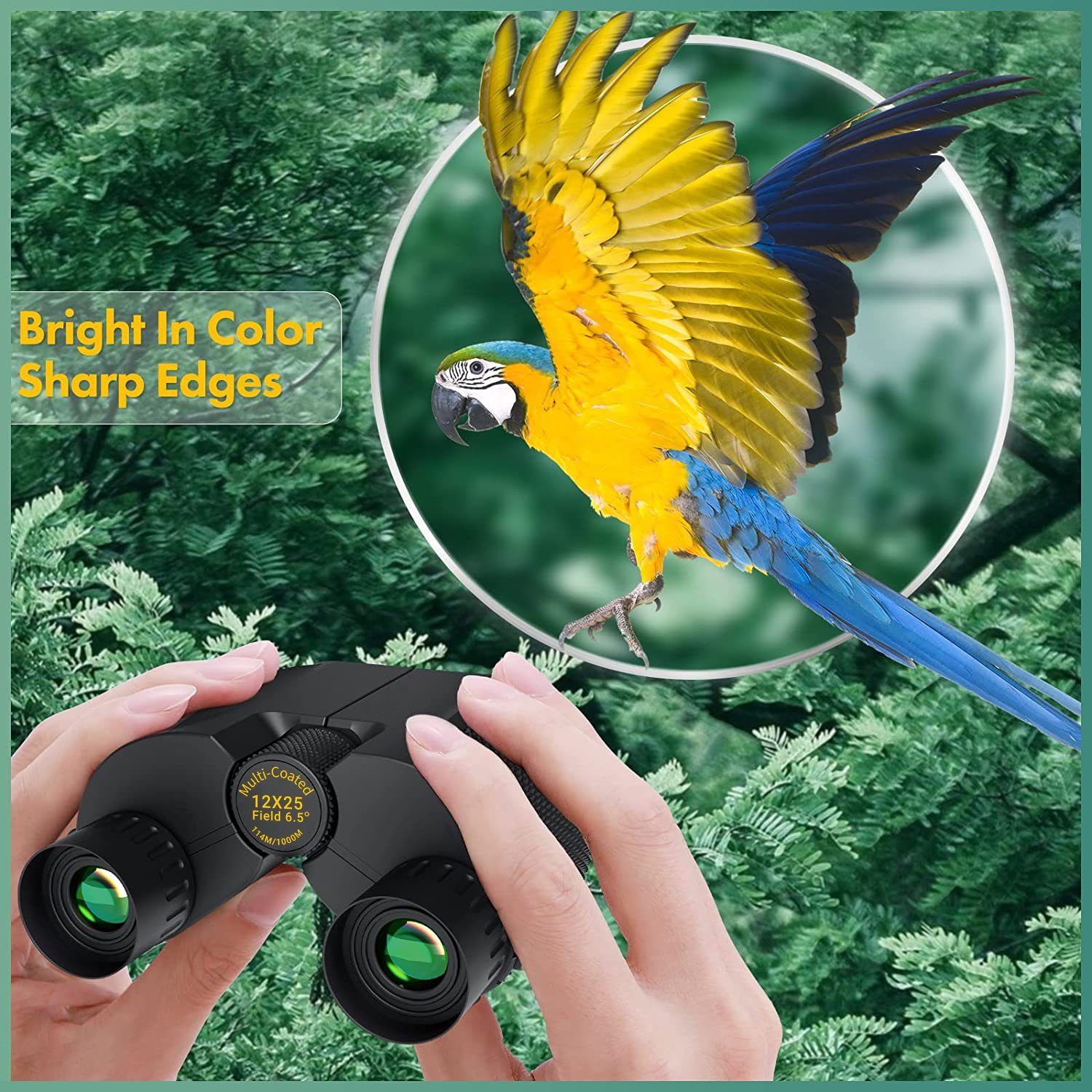 Yaviel Kleines Ferngläser Binoculars Erwachsene Kinder mit Nachtsicht Fernglas (12x25 Fernglass Taschenfernglas für Vogelbeobachtung Wandern Camping)