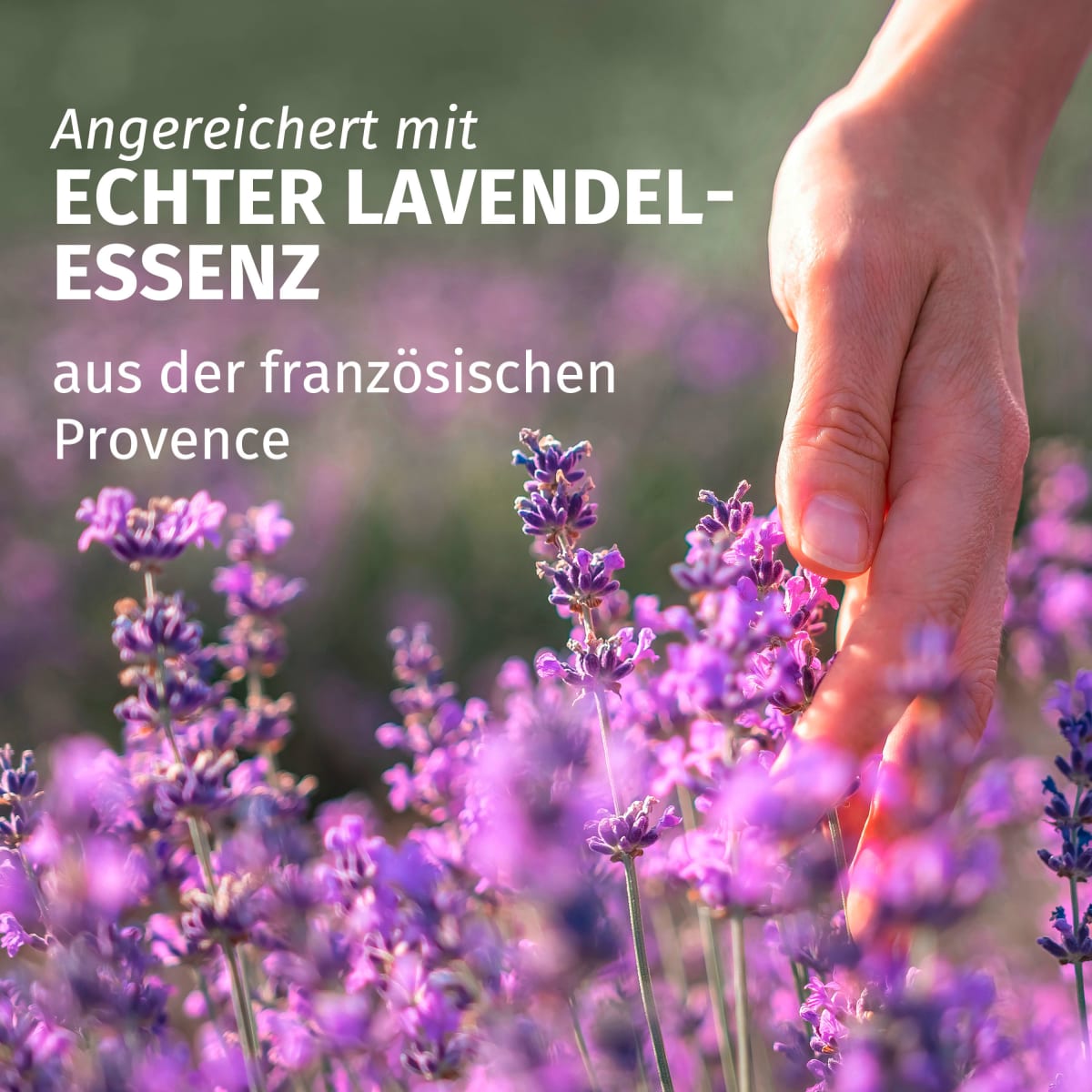Conditioner Anti-Frizz Lavendelduft, 250 ml