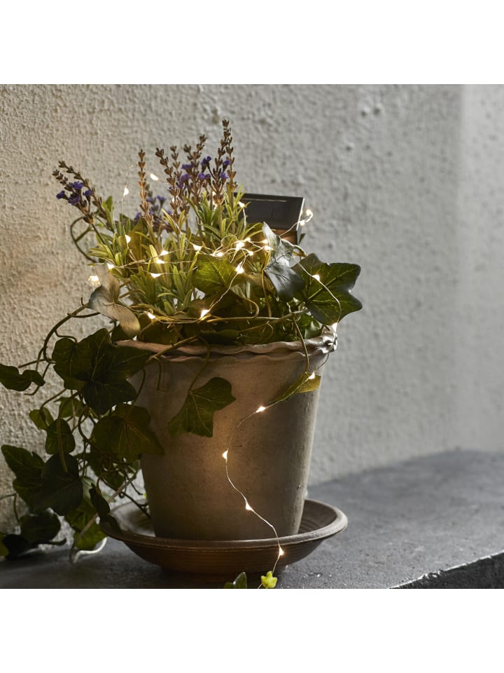 STAR Trading Solar LED-Lichterkette Dew Drop warmweiß (50 LEDs, Batterie) günstig kaufen onesize