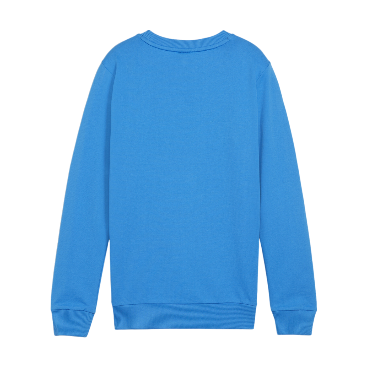 PUMA teamGOAL Casuals Sweatshirt Kids Blau F02