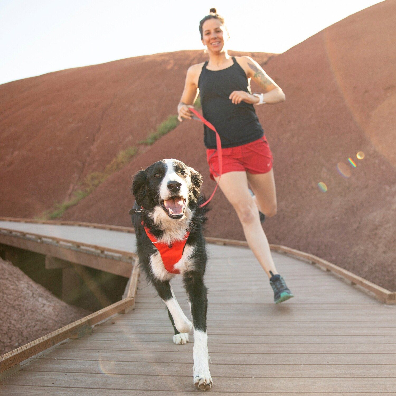 Ruffwear Führleine Hundeleine Front Range™